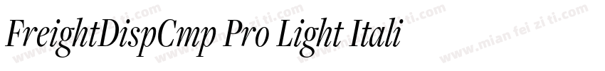 FreightDispCmp Pro Light Italic字体转换